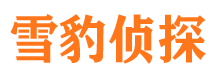 铜陵侦探公司